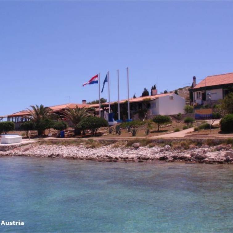 ACI-Marina Piskera