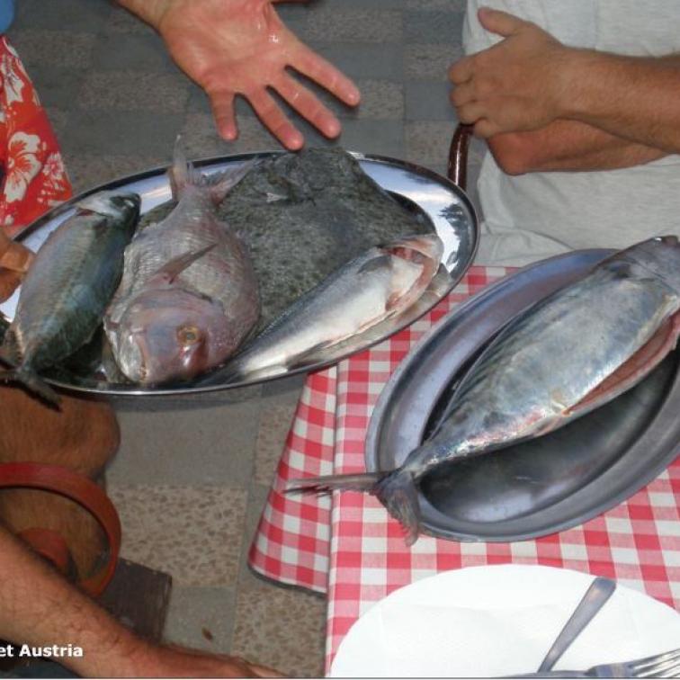 Frischer Fisch in Kroatien
