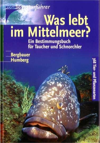 Buch was lebt im Mittelmeer? Was lebt im Mittelmeer?